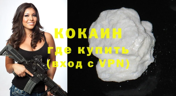 дмт Гусев
