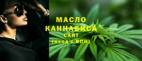 дмт Гусев