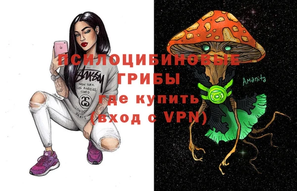 2c-b Горно-Алтайск