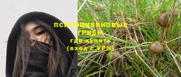 2c-b Горно-Алтайск