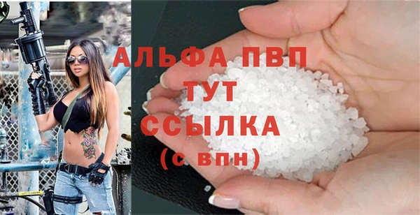 дмт Гусев