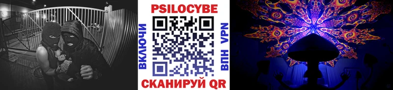 кракен маркетплейс Балашиха Галлюциногенные грибы Cubensis